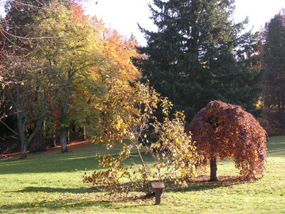 ARBORETUM DU CHÂTEAU DES BRASSEURS