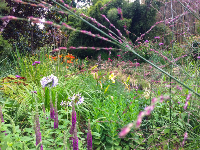 JARDIN LES BAMBOUS DE PLANBUISSON