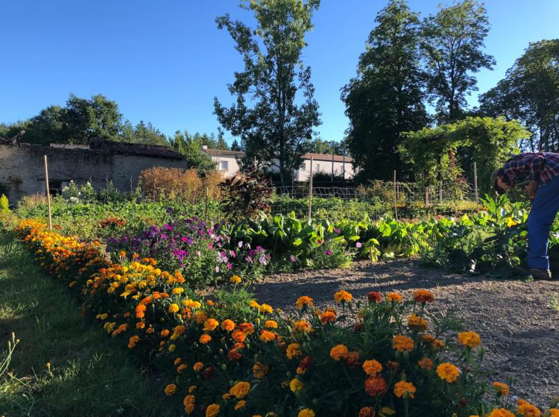 Parc du Château de la Droitière