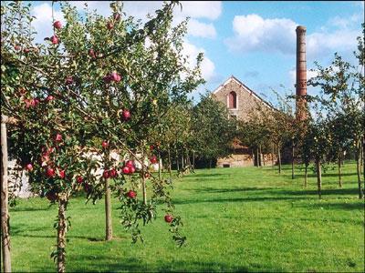 Les jardins de l'Ecomusée de Savigny-le-Temple