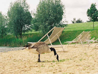 PARC DÉPARTEMENTAL DE LA PLAGE BLEUE