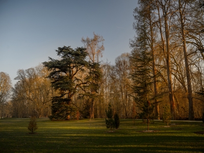 Parc du château d'Azay-le-Rideau