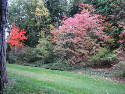 ARBORETUM DE LA FOSSE