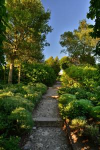 JARDIN DU CHÂTEAU ROYAL D'AMBOISE