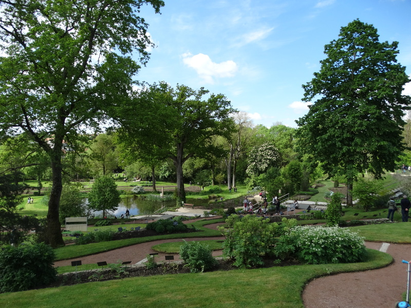 CAMIFOLIA - JARDIN DES PLANTES SANTE, BEAUTE, BIEN-ETRE