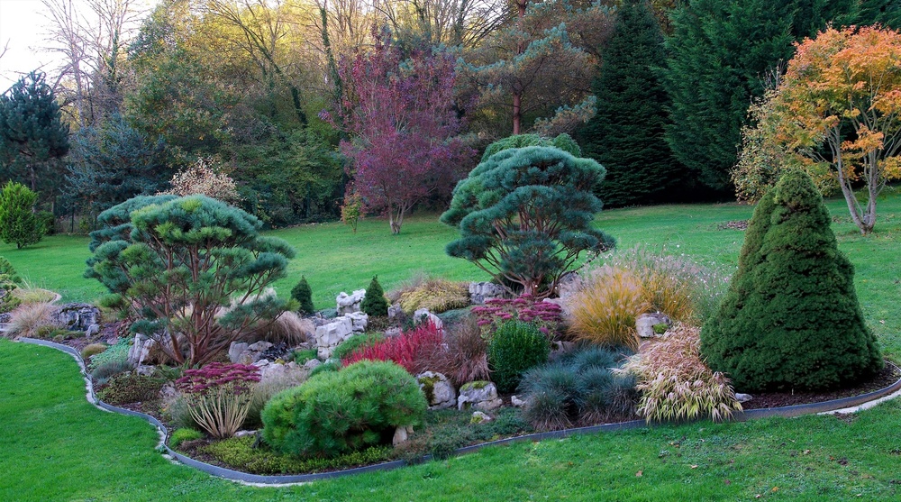 Jardin Aquatique Acorus