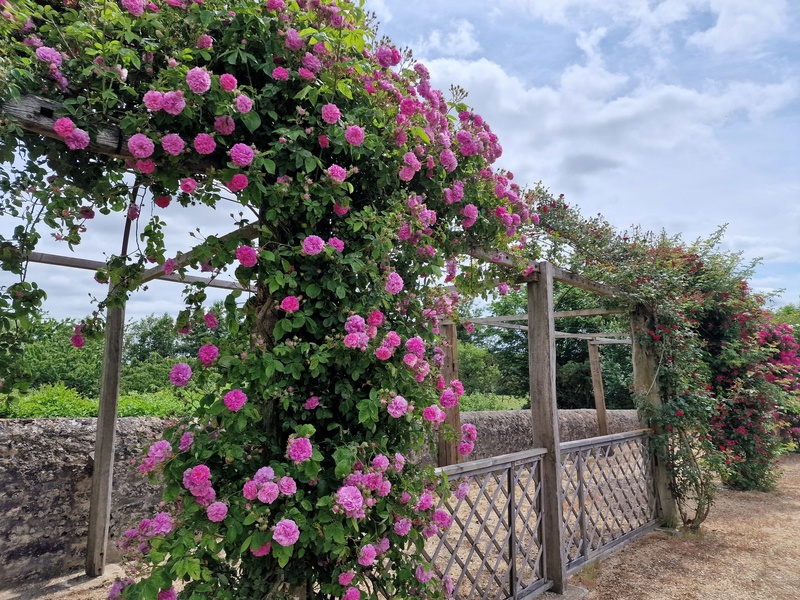 Jardins du château de Villeneuve