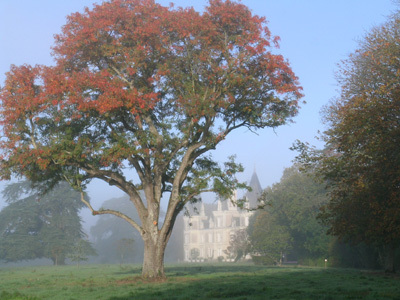 PARC DU CHÂTEAU DU MARTREIL