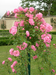 PARC DU CHÂTEAU DE RÉVEILLON