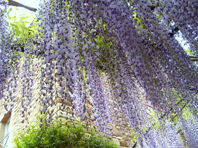 JARDIN DU MOULIN SAINT-JEAN