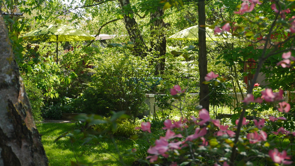 Le Jardin Chez Pia et Alain