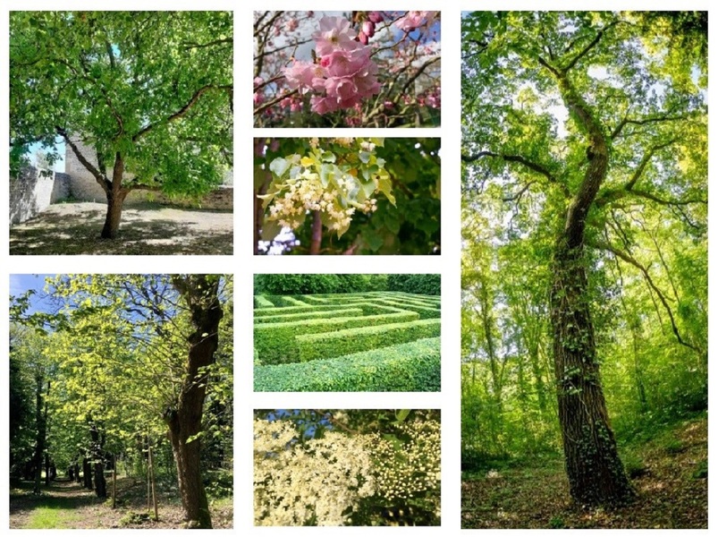 PARC ET JARDINS DU CHÂTEAU D'AUVERS-SUR-OISE