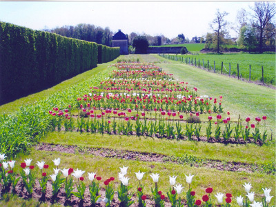 PARC DU CHÂTEAU DE MONTGEOFFROY