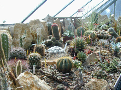 JARDIN BOTANIQUE DE LA VILLE ET DE L'UNIVERSITÉ