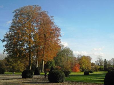 Parc du Château de Ménonval