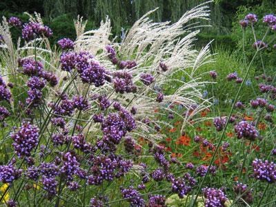 Le Jardin des Petites Ruches