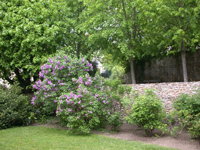 JARDIN DE JEAN-JACQUES ROUSSEAU