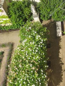 Jardin de l'Hôtel Dieu - Musée Greuze