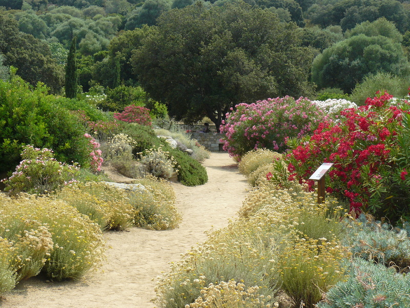 PARC DE SALECCIA