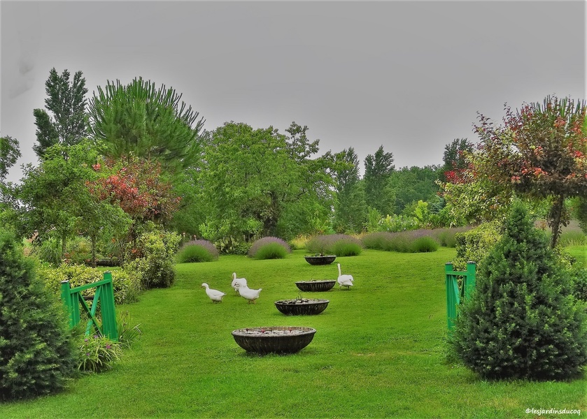 LES JARDINS DU COQ