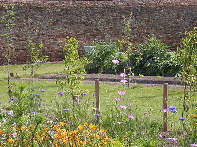 LE POTAGER DU CHÂTEAU