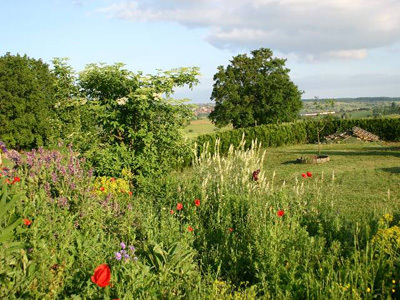 PARC HISTORIQUE DE BEAUREGARD