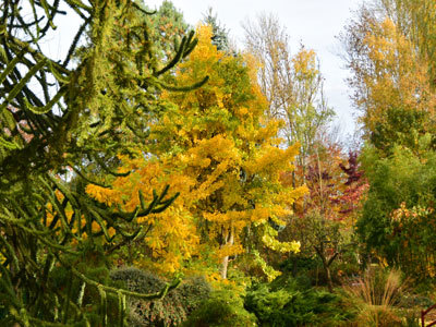 JARDIN DU MOULIN VENTIN