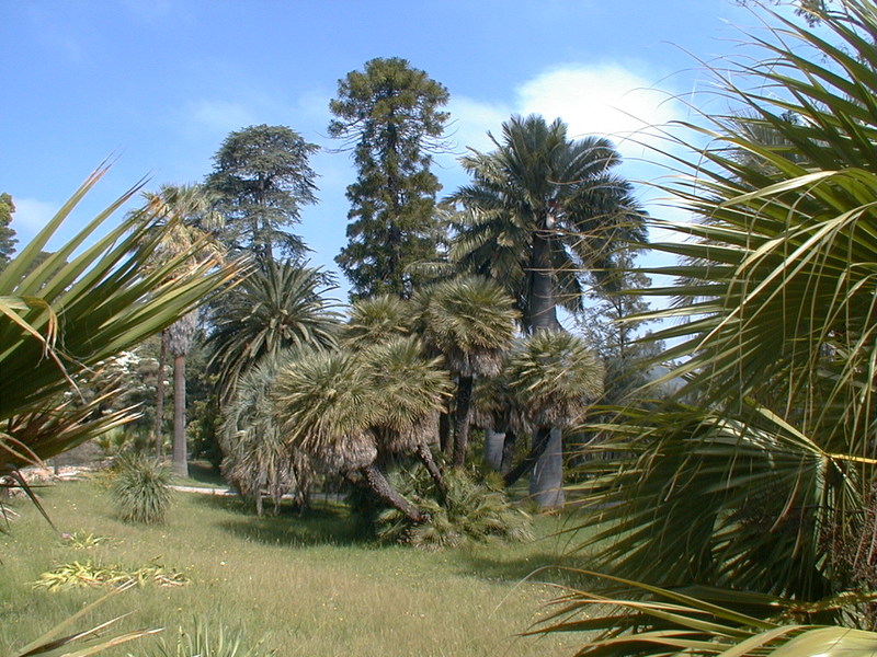 Jardin botanique de la Villa Thuret