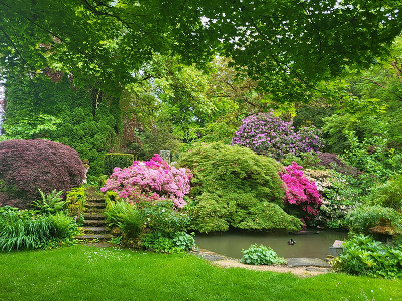LE JARDIN DES SONGES
