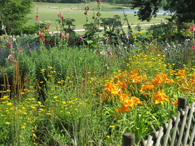 PARC DÉPARTEMENTAL DE LA COURNEUVE