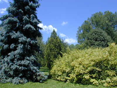 ARBORETUM ROBERT RUFFIER LANCHE