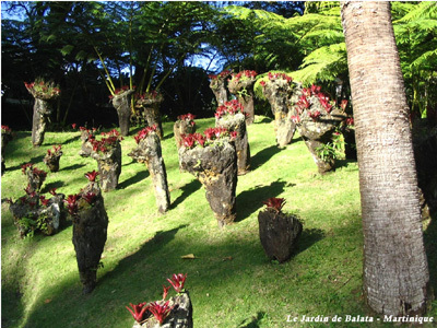 JARDIN DE BALATA