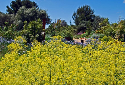 Jardin Antique Méditerranéen