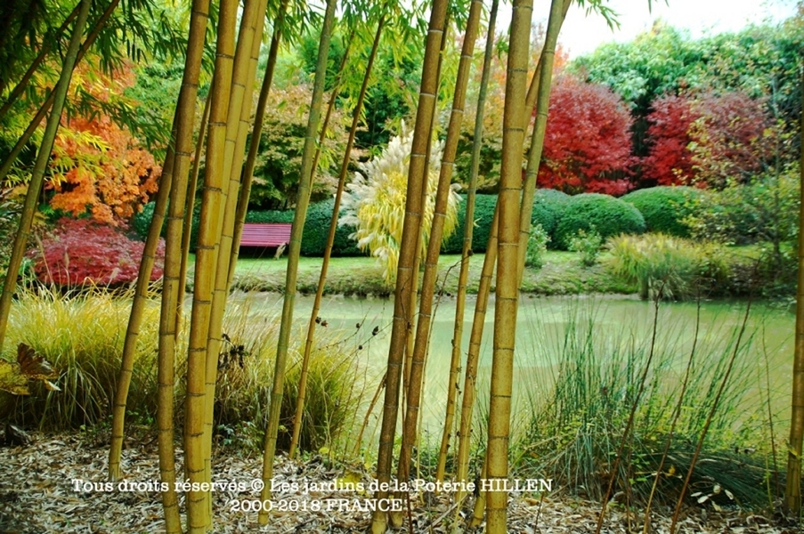 Les Jardins de la Poterie Hillen