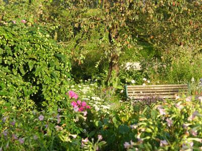 JARDIN DES PLANTES D'AMIENS