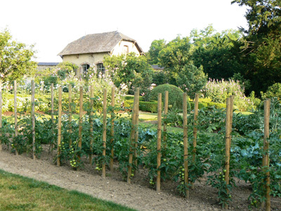 PARC ET JARDIN DE CLIVOY