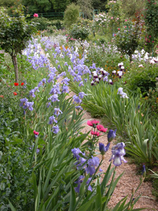 FONDATION CLAUDE MONET