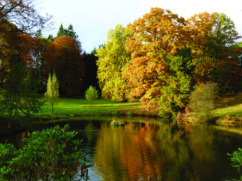 ARBORETUM DU CHATEAU DE NEUVIC D'USSEL