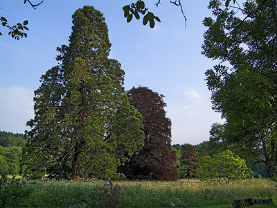 PARC ET JARDIN DE LA CHAUX