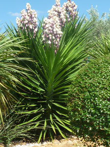 Le Jardin de l'Henry