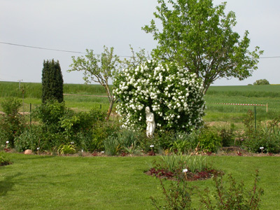 LE JARDIN DE LA CHRISTALINE