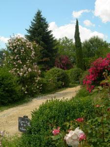 JARDIN DE BOISSONNA