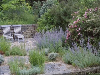 LES JARDINS DE L'ALBAREDE