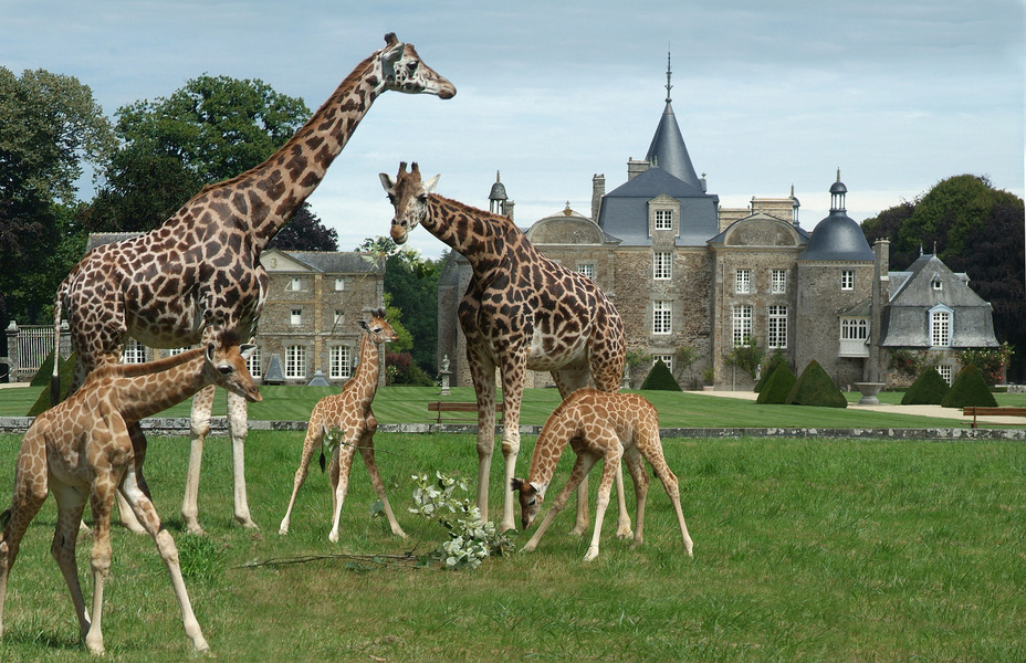 Jardins de la Bourbansais