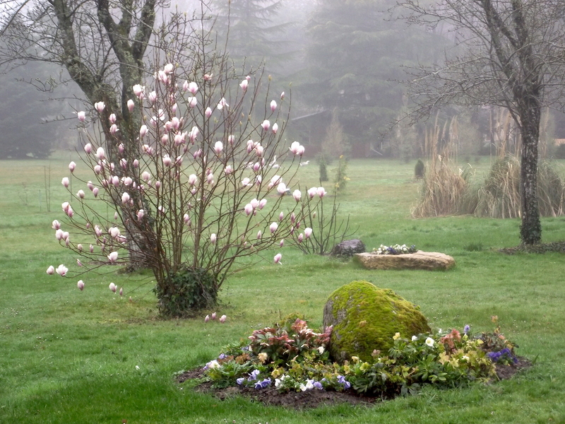 LE JARDIN DE RIVASSOUX