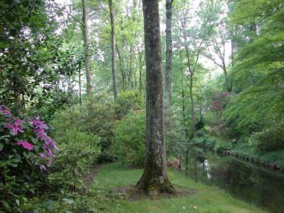 JARDIN ARBORETUM D'ILEX