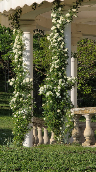 Parc du Château de Pourpry
