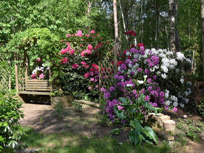 JARDIN DU BOIS FLEURI