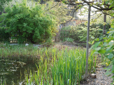 LES JARDINS DU REDOUNEL