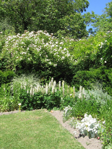 CHÂTEAU ET JARDINS DE LA CHASSAIGNE